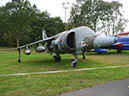 Harrier